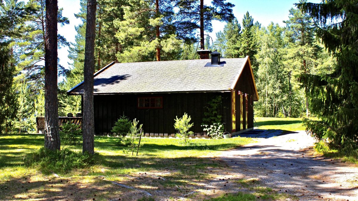 Cabin 1